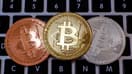 562 millions de personnes possèdent des cryptomonnaies dans le monde.