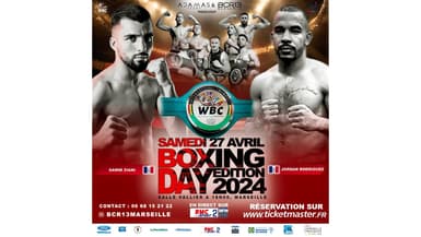 Boxing Day Edition 2024