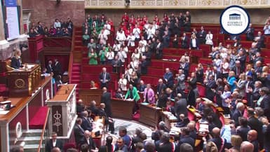 Des députés habillés aux couleurs du drapeau palestinien le 4 juin 2024.