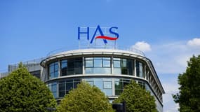La Haute Autorité de santé, le 31 juillet 2014.