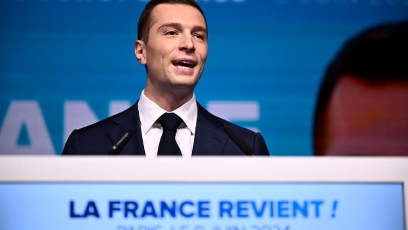 DIRECT. Résultats élections européennes: après la dissolution de l'Assemblée, la campagne des législatives commence