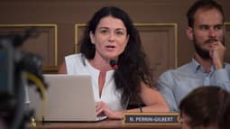 Nathalie Perrin-Gilbert, ancienne adjointe à la culture à Lyon, le 17 juillet 2017.